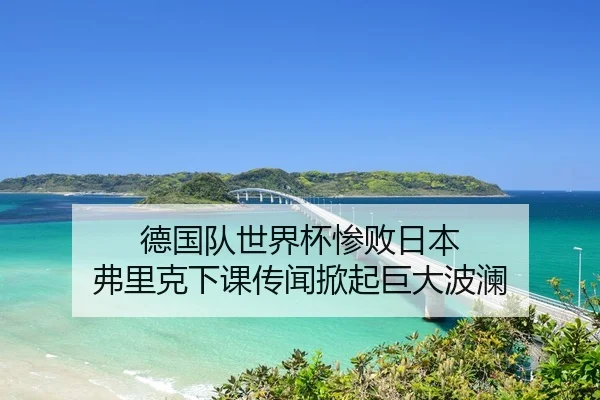 德国队世界杯惨败日本 弗里克下课传闻掀起巨大波澜