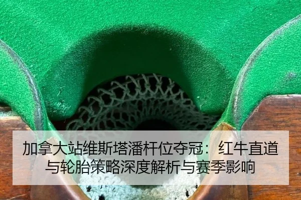 jia-na-da-zhan-wei-si-ta-pan-gan-wei-duo-guan-hong-niu-zhi-dao-yu-lun-tai-ce-lve-shen-du-jie-xi-yu-sai-ji-ying-xiang-3-761.jpg