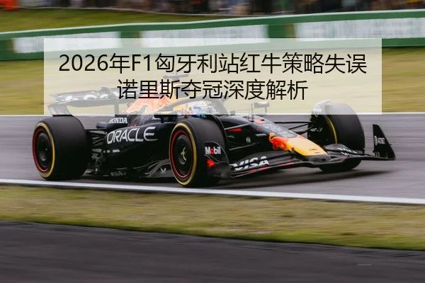 nian-xiong-ya-li-zhan-hong-niu-ce-lve-shi-wu-nuo-li-si-duo-guan-shen-du-jie-xi-2-899.jpg