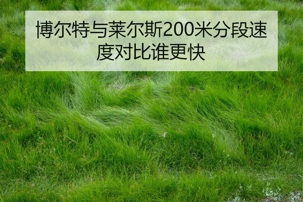 博尔特与莱尔斯200米分段速度对比谁更快